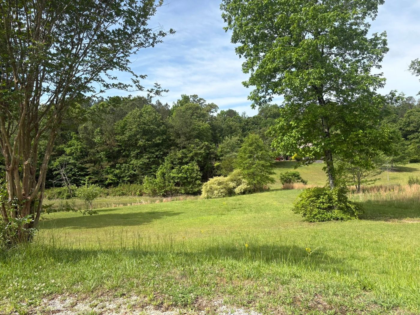 Mowed field sloping toward a pond