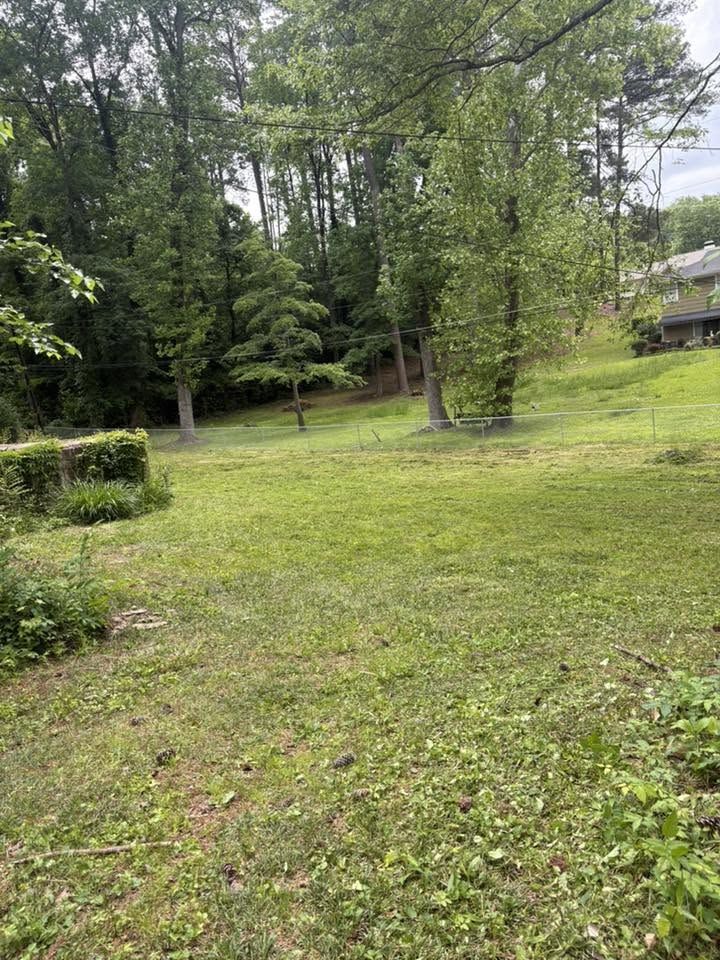 Fenced backyard mowed clean after clearing