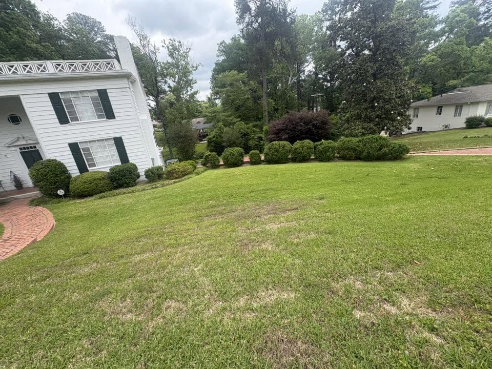 Mowed hillside lawn with trimmed shrub line