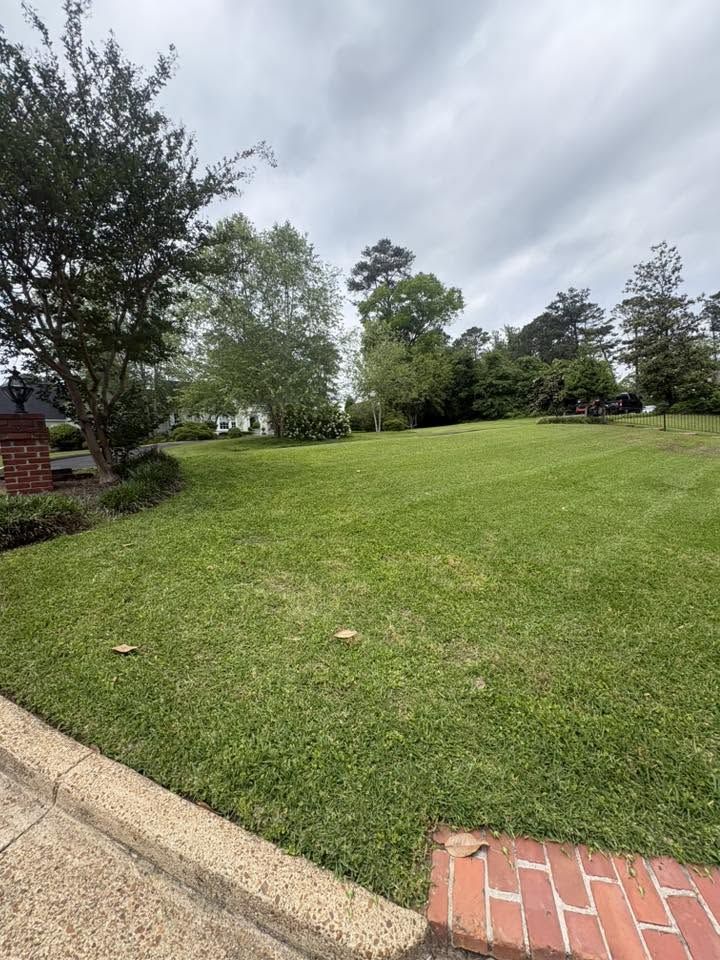 Striped fresh cut lawn beside a brick curb