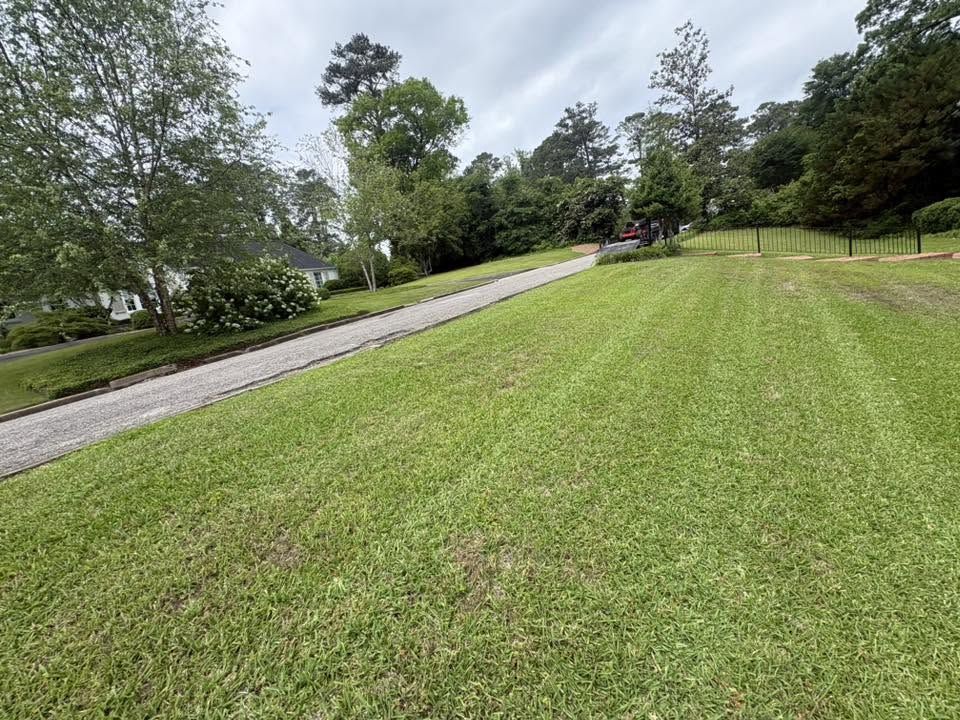Striped roadside lawn beside a gravel lane