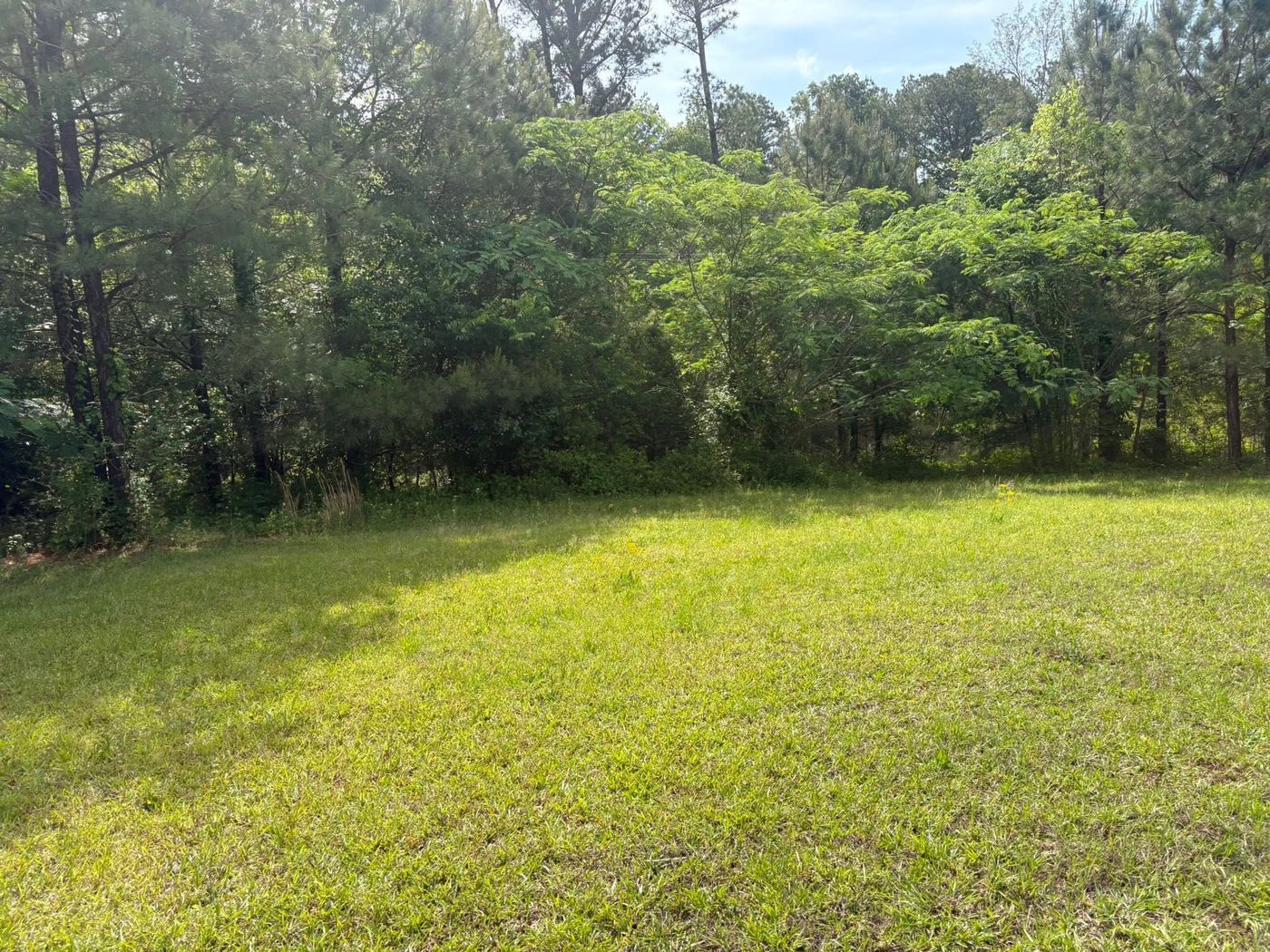 Mowed field running to a wooded tree line