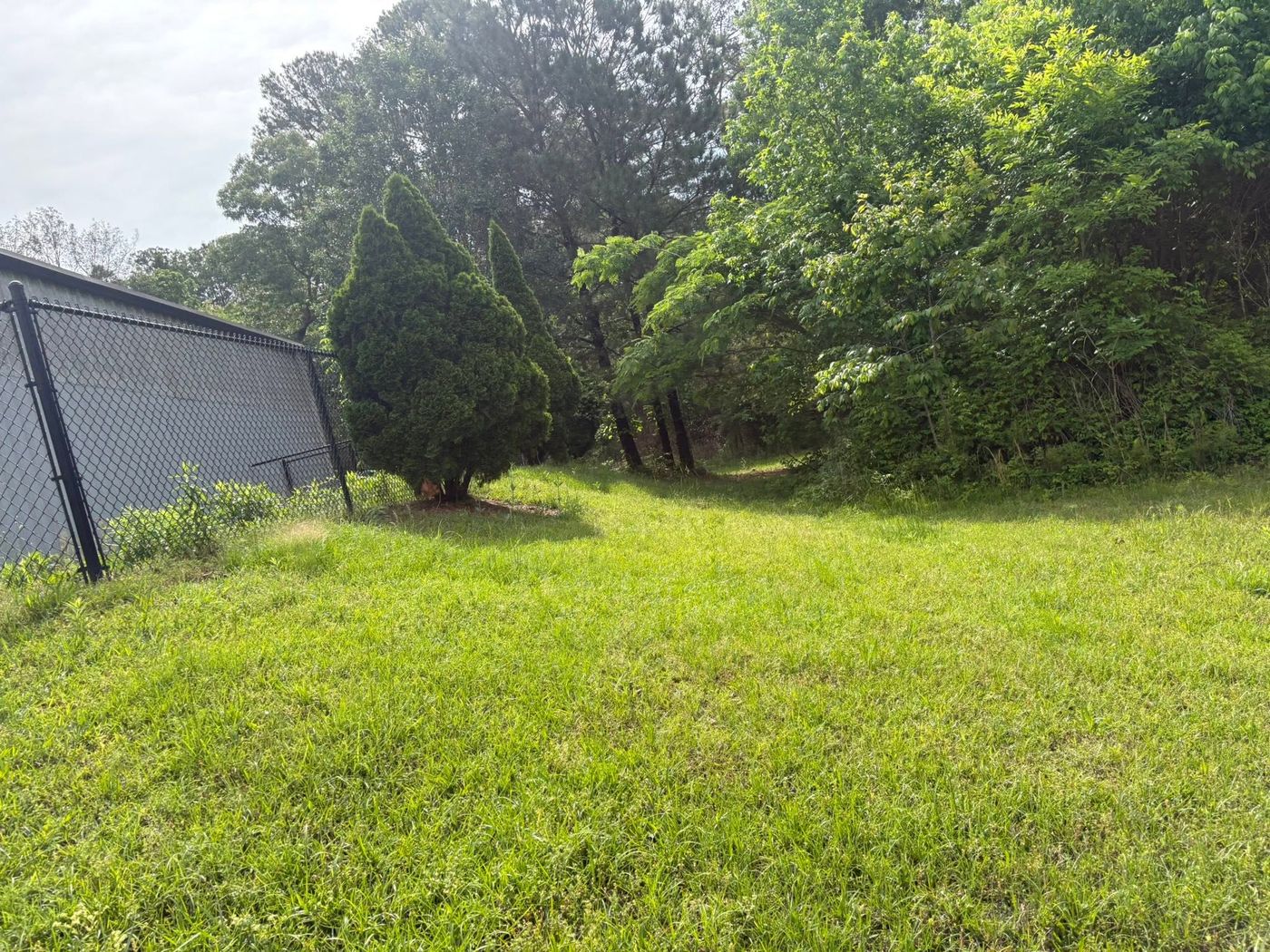 Trimmed side yard along a chain link fence